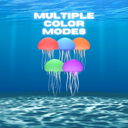 The Jellyfish